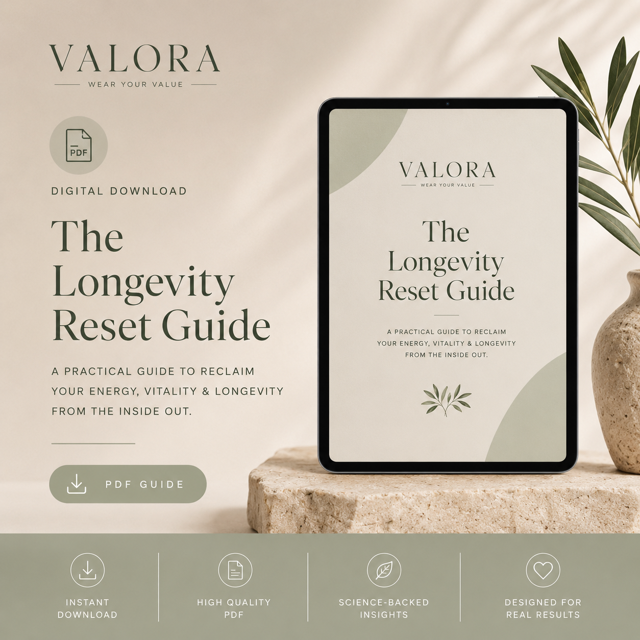 The Longevity Reset Guide (PDF)