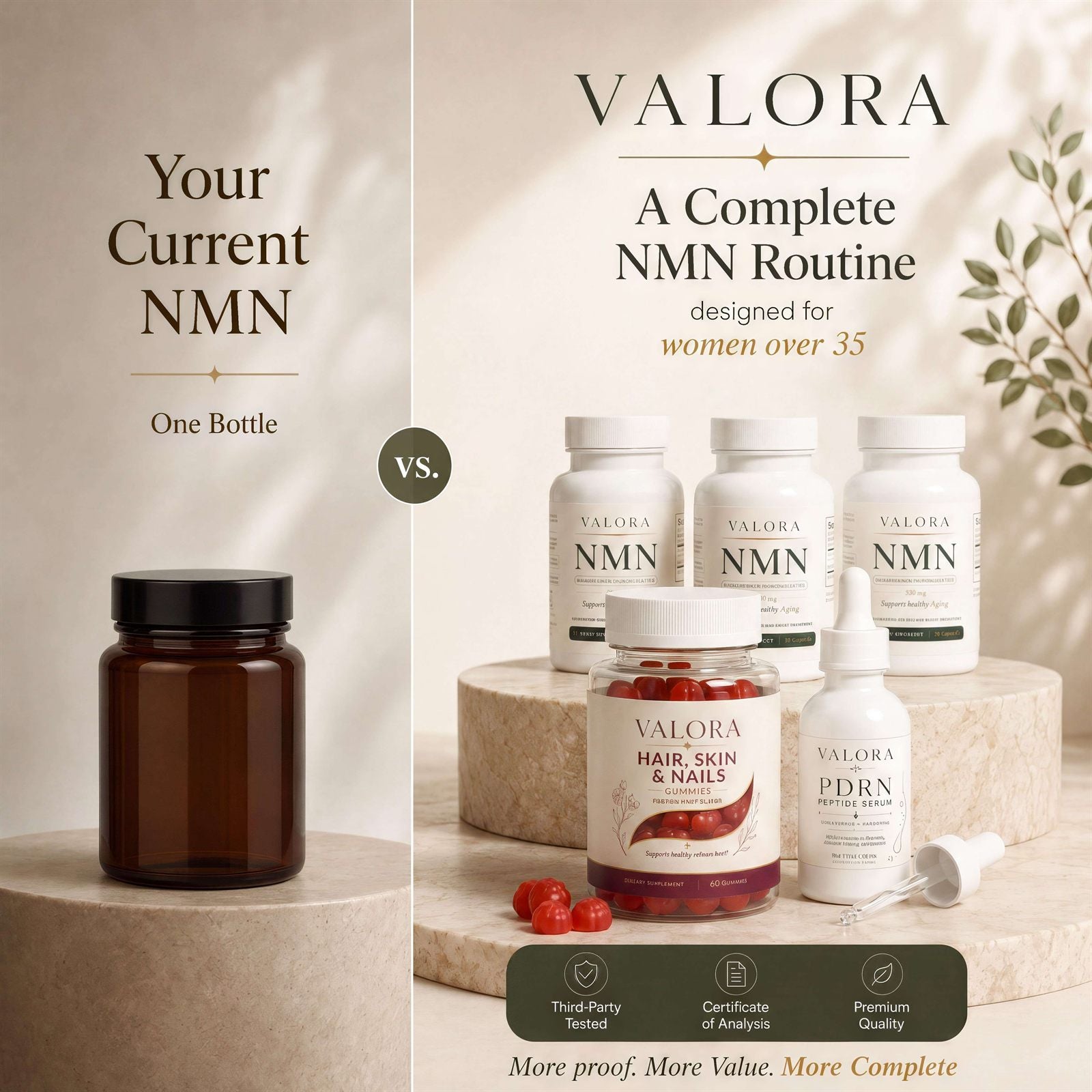 The VALORA Inside-Out Longevity System — a closer look at your 90-day supply of NMN with the free gifts